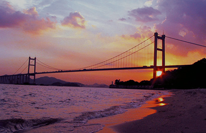 70% low floor modern tram runs on line R1